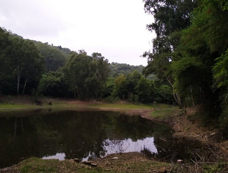 Gangotri Seasonal Lake, Chittoor, Andhra Pradesh - Vushii.com